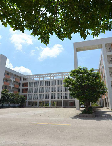 领袖肩夹机	(图16)
